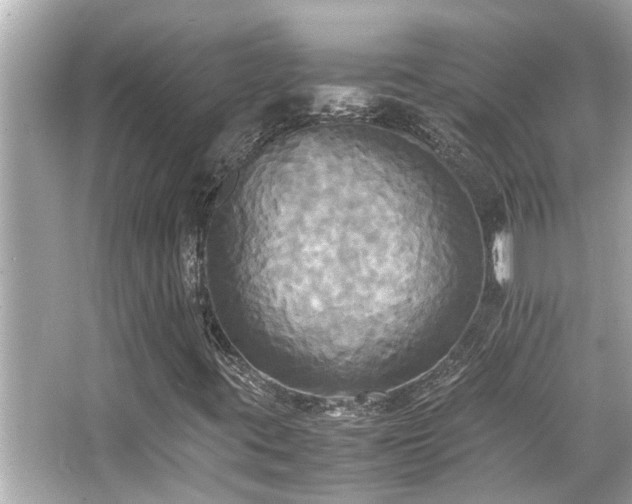 X0000066521395200603171206