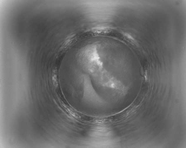 X0000066521396200603171206