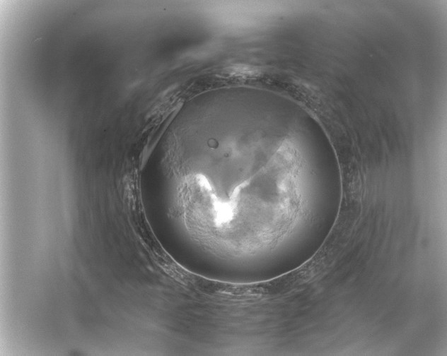 X0000066521397200603171206