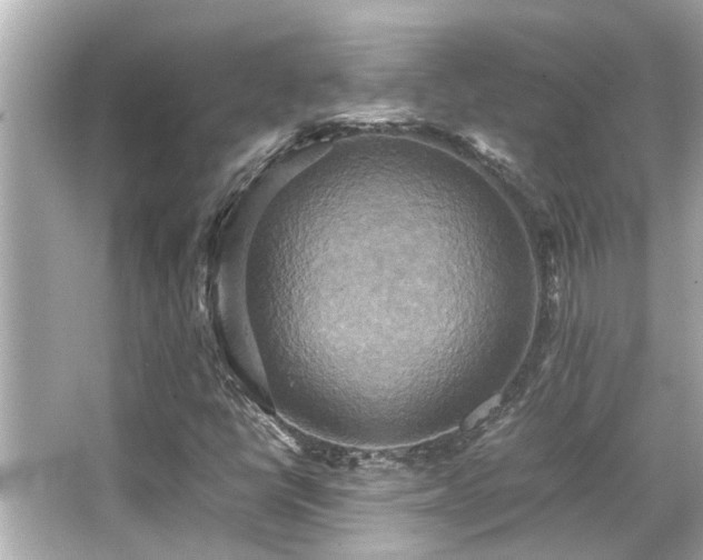 X0000066521398200603171206