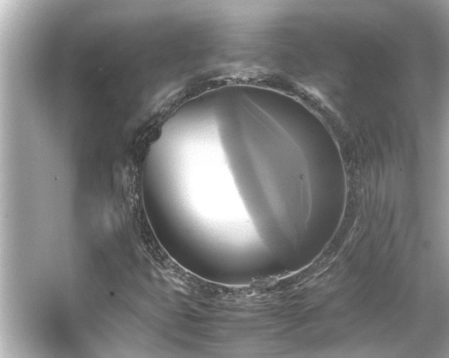 X0000066521399200603171206