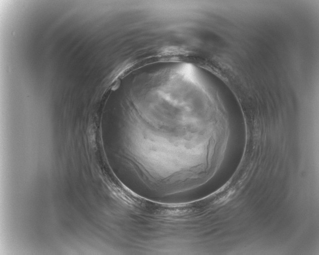 X0000066521401200603171206