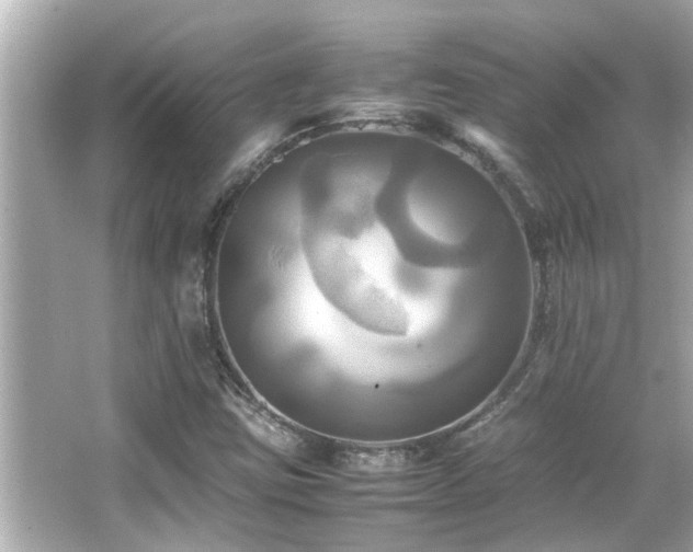 X0000066521403200603171206