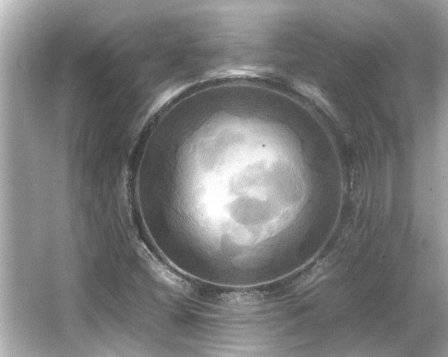 X0000066521404200603171206