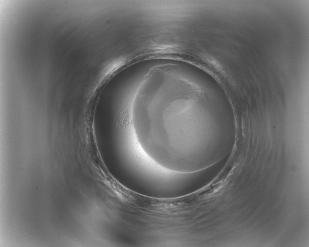 X0000066521405200603171206