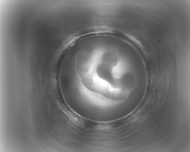 X0000066521407200603171206