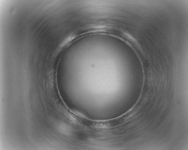 X0000066521411200603171206