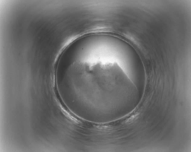 X0000066521413200603171206