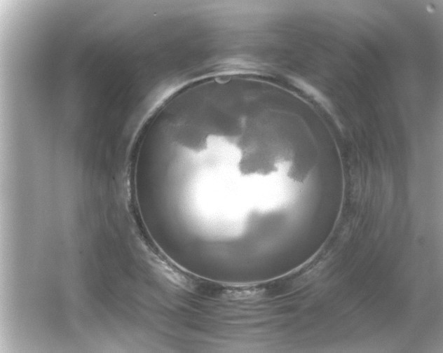 X0000066521415200603171206