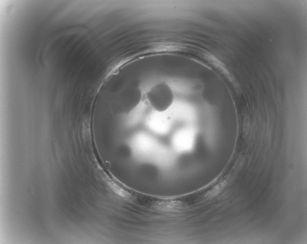 X0000066521417200603171206