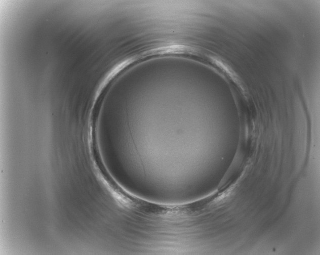 X0000066521418200603171206