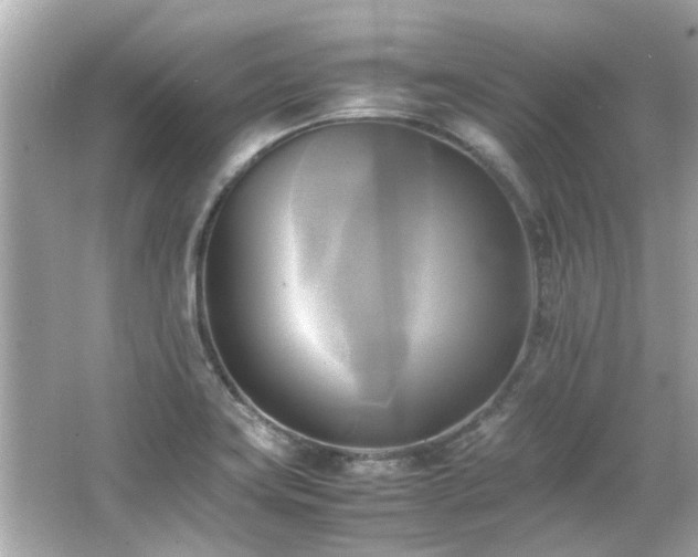 X0000066521419200603171206