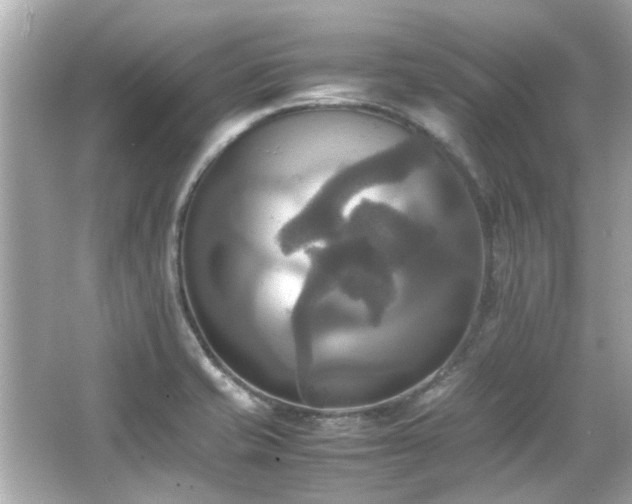 X0000066521421200603171206