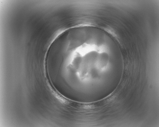 X0000066521423200603171206