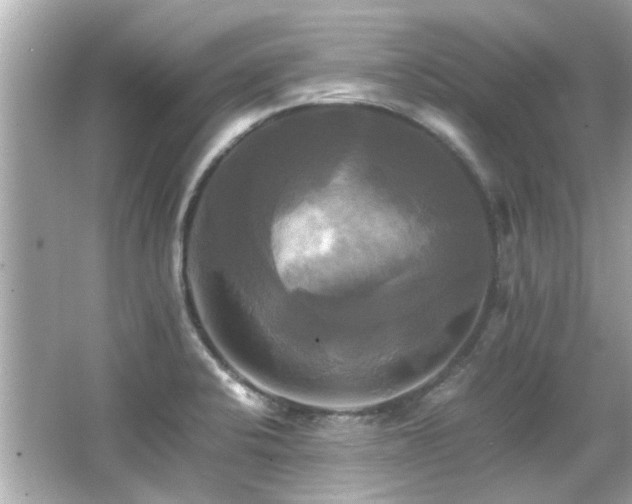 X0000066521424200603171206