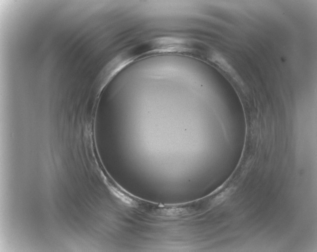 X0000066521425200603171206