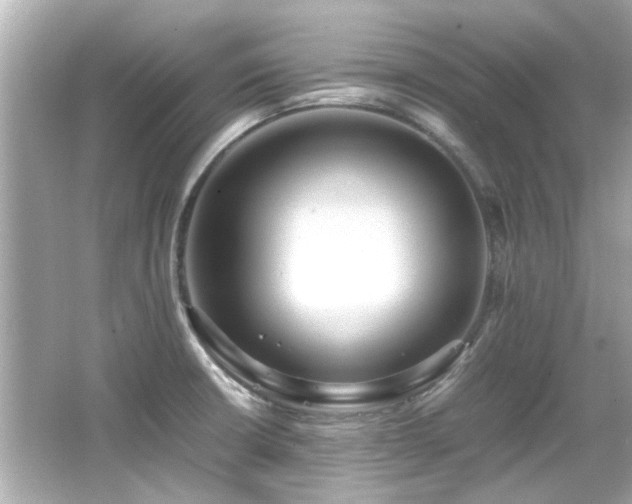 X0000066521426200603171206