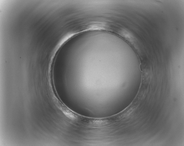 X0000066521427200603171206