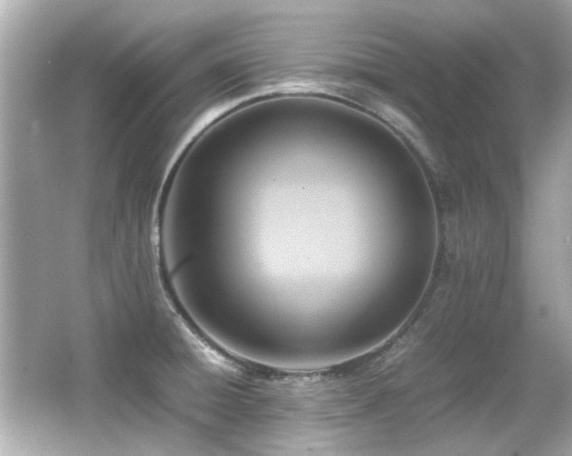 X0000066521428200603171206