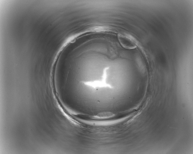 X0000066521429200603171206