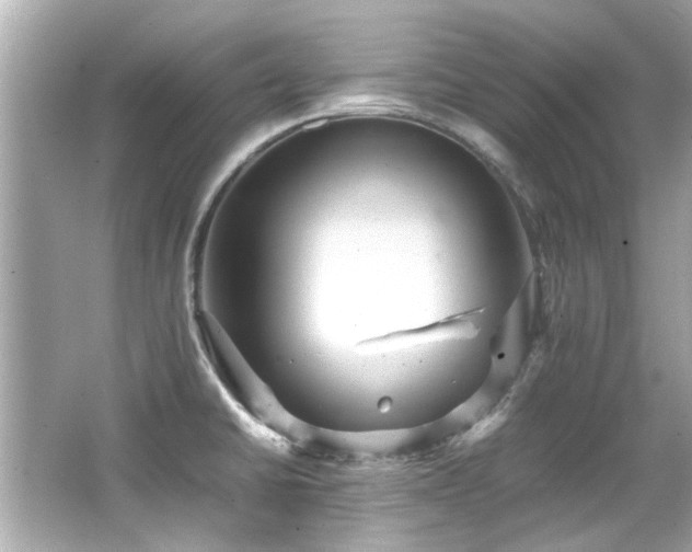 X0000066521430200603171206