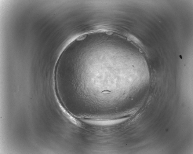 X0000066521431200603171206