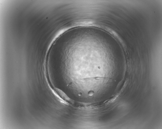 X0000066521432200603171206