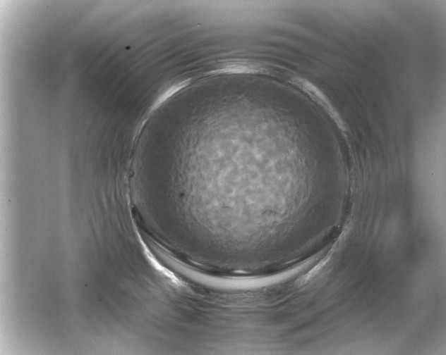 X0000066521433200603171206