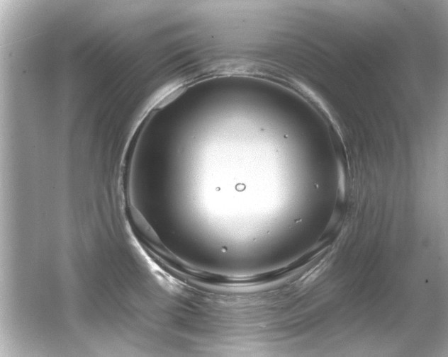 X0000066521434200603171206