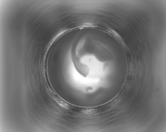 X0000066521435200603171206