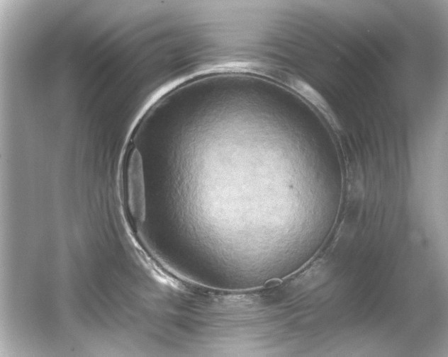 X0000066521436200603171206