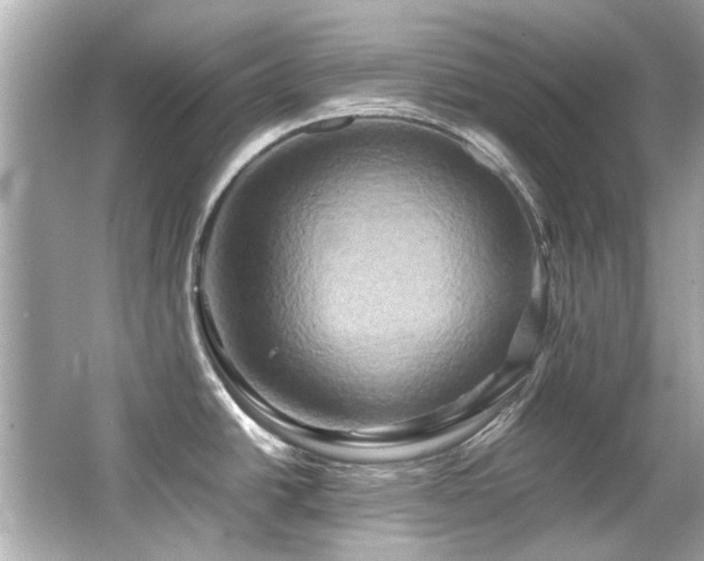 X0000066521438200603171206