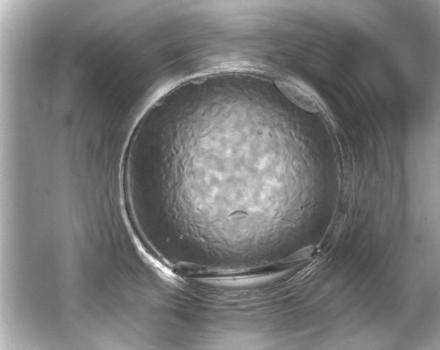 X0000066521439200603171206