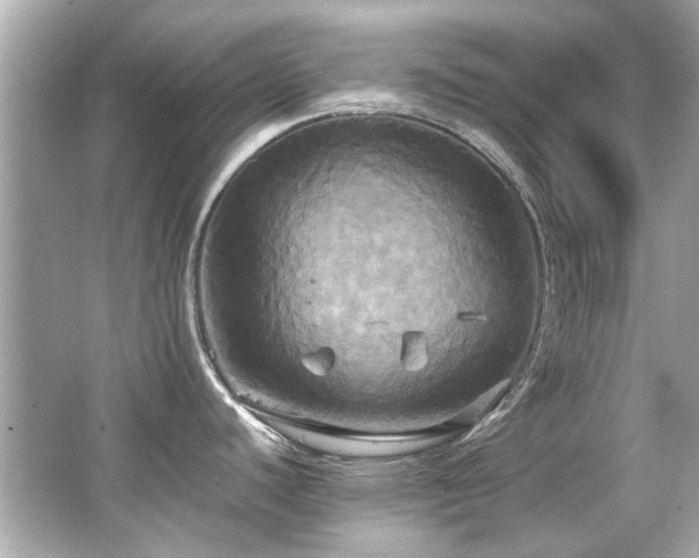 X0000066521440200603171207