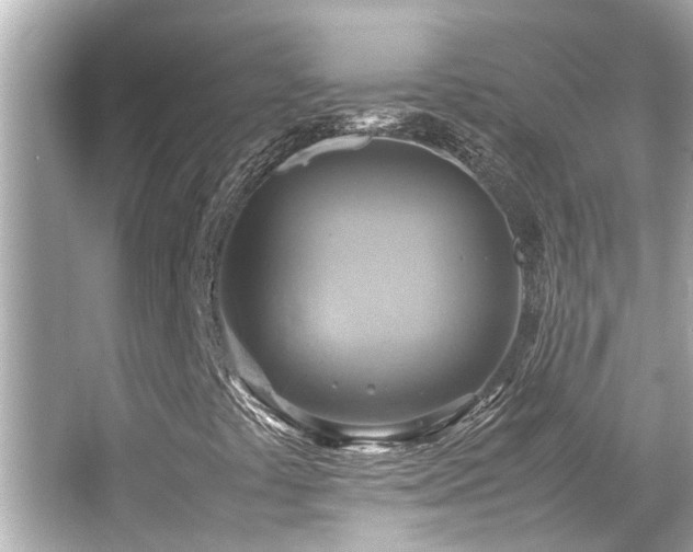 X0000066521441200603171206