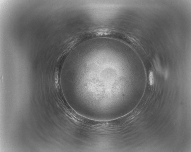 X0000066521444200603171206