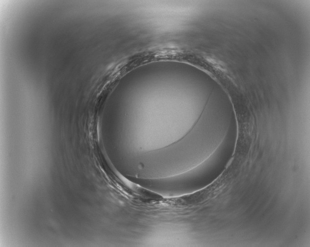 X0000066521445200603171206