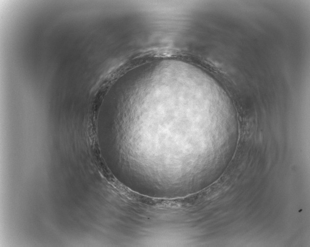 X0000066521446200603171206