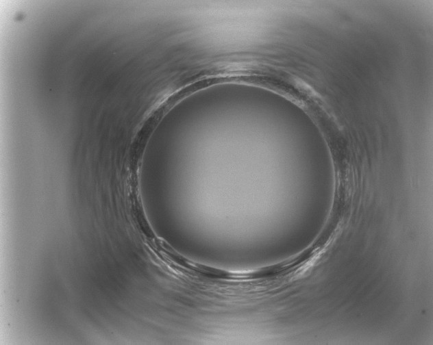 X0000066521449200603171206