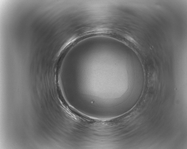 X0000066521450200603171206