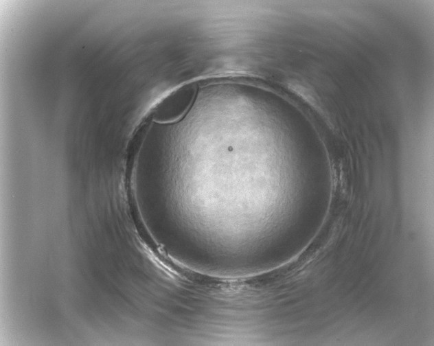 X0000066521452200603171206