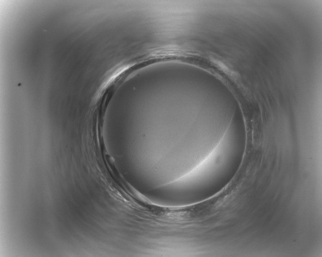 X0000066521453200603171205