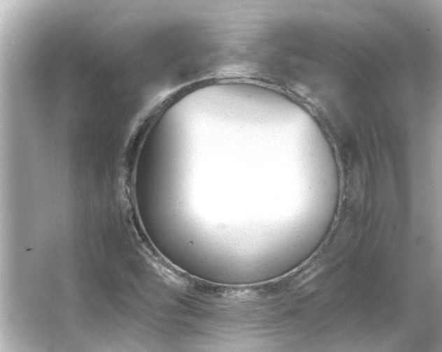 X0000066521454200603171205