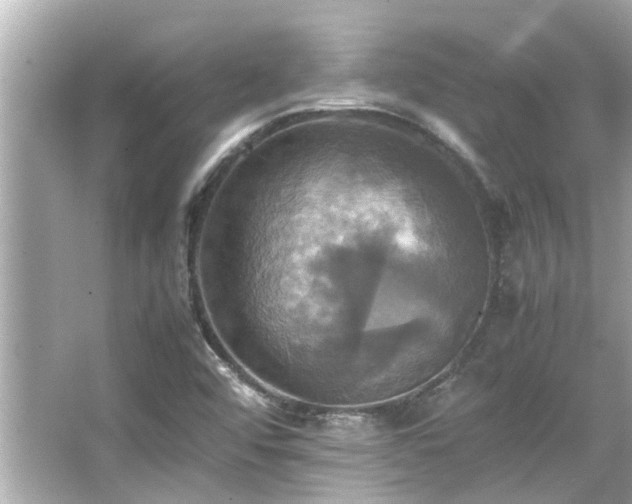 X0000066521456200603171205