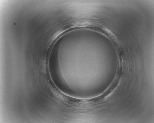 X0000066521457200603171205