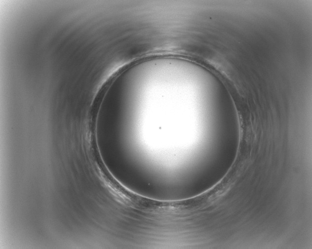 X0000066521458200603171205