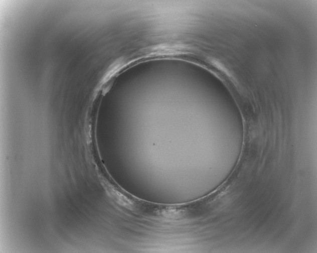 X0000066521459200603171205