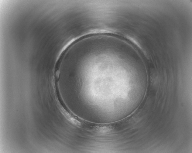 X0000066521460200603171205