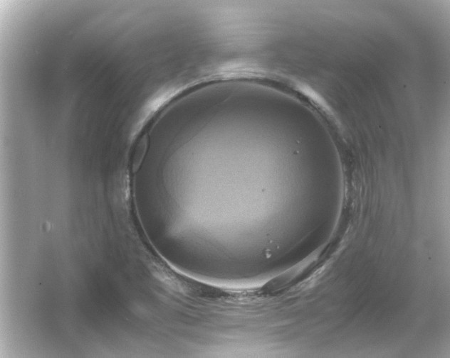 X0000066521461200603171205