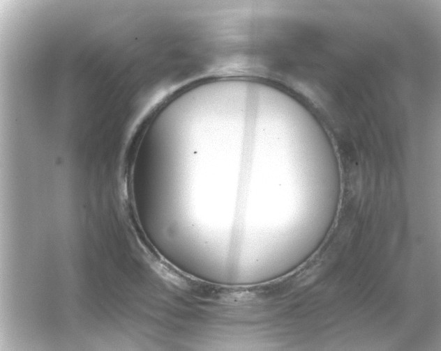 X0000066521462200603171205